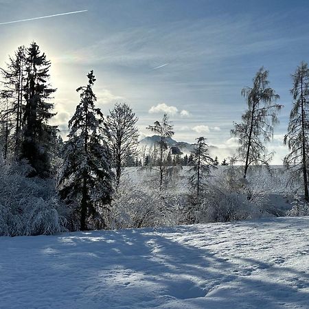 Апартаменти Bio-Holzhaus Und Landhaus Heimat Рамзау-ам-Дахштайн Екстер'єр фото