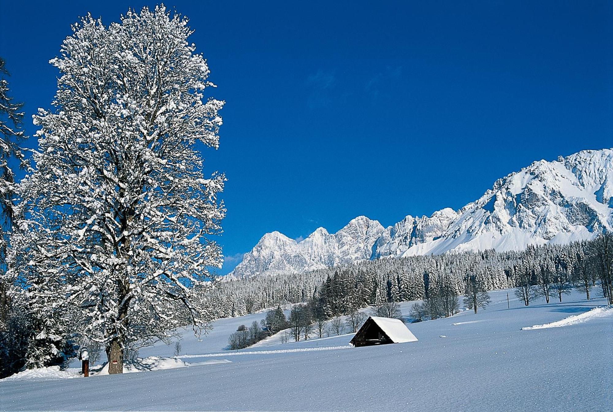 Bio-Holzhaus Und Landhaus Heimat Рамзау-ам-Дахштайн Екстер'єр фото